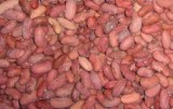 Frozen kidney beans