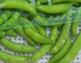 Frozen organic sugar snap peas