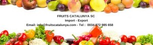 FRUITS CATALUNYA