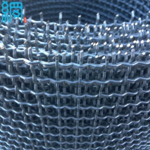 Electro/Hot dipped Galvanized Steel Corrugated Wire Mesh (ISO9001 Factory)