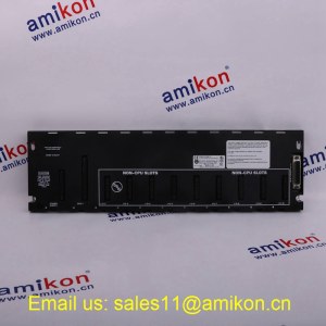 GE FANUC IC200PNS001 | Professional Team