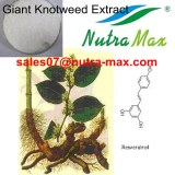 Giant Knotweed Rhizome extract (sales07@nutra-max.com)