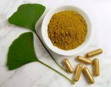 Ginkgo Biloba Extract