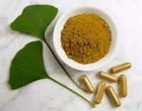 Ginkgo Biloba Extract