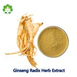 Chinese traditional medicine panax ginseng herb extract capsules ingredient