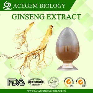 EC396 Standard Wild Ginseng Root Extract,1%-20% HPLC
