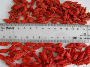 Baied de goji