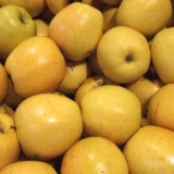 Vends pommes Golden,Granny,Royal gala