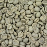 Arabica Coffee Bean