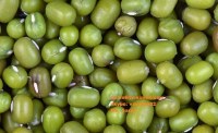Vietnam green mung bean good price skype: visimex02