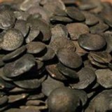 Griffonia Seed Extract 5-HTP