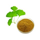 24% de flavonoïdes 6% de lactones Poudre d'extrait de feuille de Ginkgo Biloba