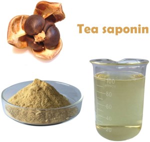 Extrait de graines de camélia en poudre de saponine de thé