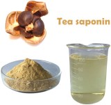 Extrait de graines de camélia en poudre de saponine de thé