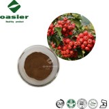 Hawthorn Berry/Leaf Extract