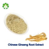 Healthy supplements dried ginseng root extract energy now