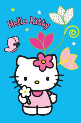 Tapis hello kitty en destockage