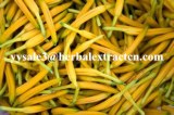 Hemerocall Extract natural ingredients 10:1 Chinese manufacturer , natural Antioxidant...
