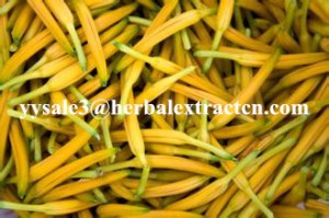 Hemerocall Extract natural ingredients 10:1 Chinese manufacturer , natural Antioxidant...