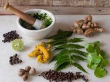 Ayurvedic Herbs for Joint Paina nd Weight Loss