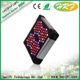 Indoor grow plant led light COB led light
