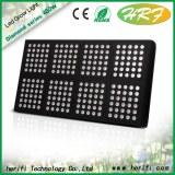 Hydroponic LED indoor grow lights