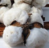 Grade A 100% balle de coton brut naturel biologique à vendre