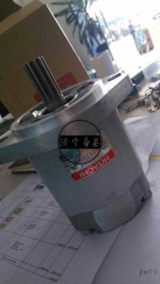Hitachi ZAX60 excavator gear pump