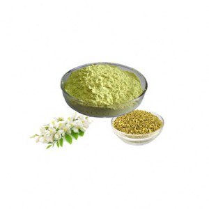 Poudre de rutine 95% pour supplément de santé pharmaceutique