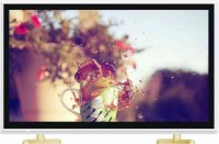 LED TV smart LCD monitor for home/hotel/hospital/auto