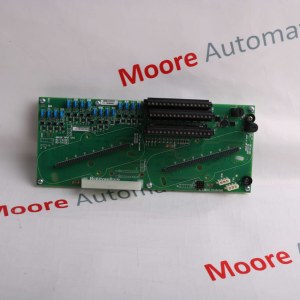 HONEYWELL CC-PAOH01 51405039-175