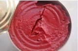 70G-4500G canned tomato paste, tomato sauce