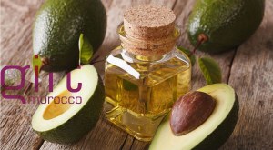 Huile d'avocat en gros