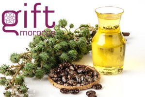 Huile de ricin en gros