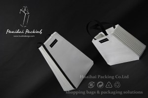 Earth-friendly Paper Bag Design