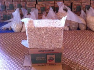 Noix d'acajou décortique à lexport