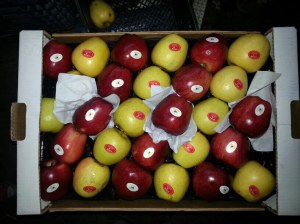 Vente en gros de Pomme Golden et Starking de Turquie