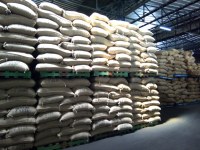 Vente de grains de café vert robusta made un Côte d'Ivoire