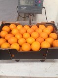 Orange origine Maroc.