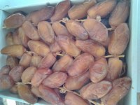 Exportation des dattes tunisiennes vers tous le monde