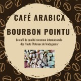 Café de spécialité Arabica bourbon pointu