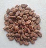 FÈVES DE CACAO BIO