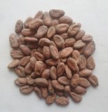 FÈVES DE CACAO BIO