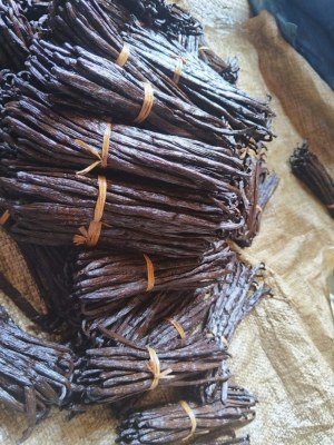 VANILLE BOURBON ORIGINE - SAVA DE MADAGASCAR