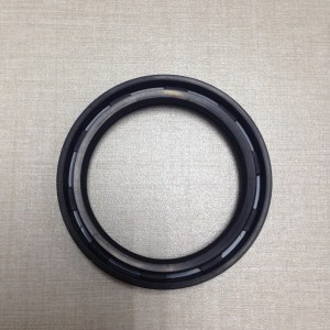 Automatic transmission pump seal with double lips and dust proof