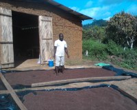 Vente de poivre maniguette