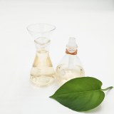 DMAC (N,N-Dimethylacetamide)