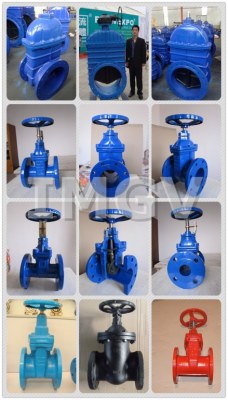 Gate Valve