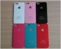 Apple iPhone 5G cas