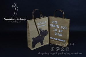 Shopping Paper Bag
